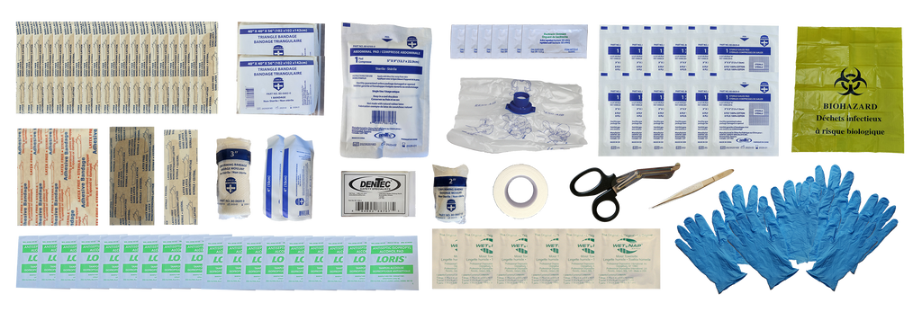 CSA Z1220-17 TYPE 2 BASIC SMALL FIRST AID KIT BULK IN 16 UNIT PLASTIC BOX