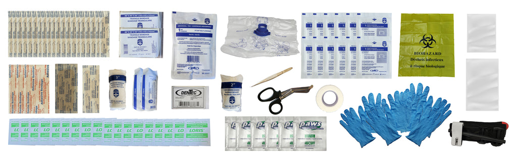 CSA Z1220-24 TYPE 2 BASIC SMALL FIRST AID KIT BULK IN 16 UNIT PLASTIC BOX